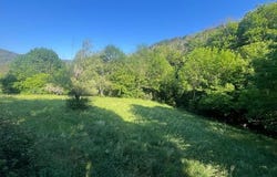 Saumane, Languedoc-Roussillon 30125