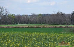 Estrablin, Isère 38780