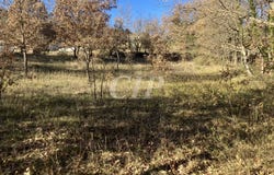 Quinson, Alpes-de-Haute-Provence 04500