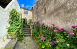 Cabrerolles, Languedoc-Roussillon 34480