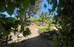 Montfrin, Languedoc-Roussillon 30490