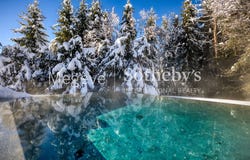 MEGEVE, Auvergne-Rhône-Alpes 74120