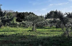 Uzès, Languedoc-Roussillon 30700