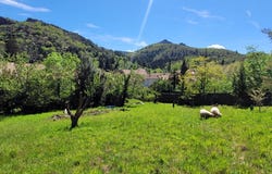 Lamalou-les-Bains, Languedoc-Roussillon 34240