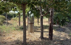 Fouzilhon, Languedoc-Roussillon 34480