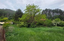 Molières-sur-Cèze, Gard 30410