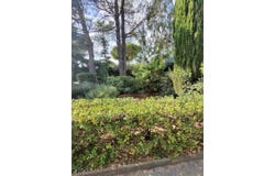 Cuers, Provence-Alpes-Côte d'Azur 83390