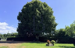 Beauchamps, Lower Normandy 50320