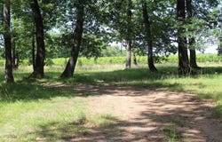 Doulezon, Nouvelle-Aquitaine 33350