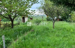 Beaufort, Franche-Comté 39190