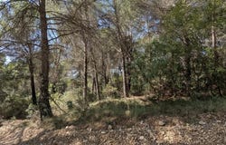 Brunet, Alpes-de-Haute-Provence 04210