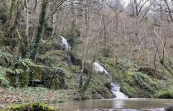 Tanus, Midi-Pyrénées 81190