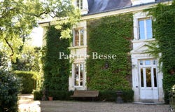 Amboise, Centre-Val de Loire 37400