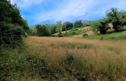 MIRANDOL BOURGNOUNAC, Occitanie 81190