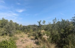 Carcès, Var 83570