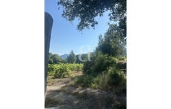 Buis-les-Baronnies, Auvergne-Rhône-Alpes 26170