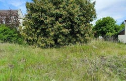 Vailly Sur Aisne, Picardie 02370