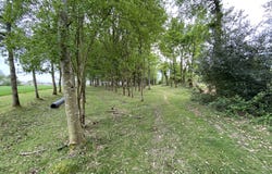 Iffendic, Brittany 35750