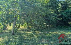 Monay, Bourgogne-Franche-Comté 39230