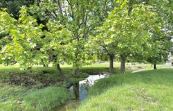 Clarensac, Occitanie 30870