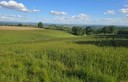 BARAQUEVILLE, Occitanie 12160