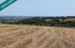 Albi, Midi-Pyrénées 81000