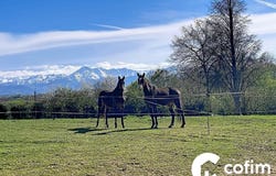 Laslades, Midi-Pyrénées 65350