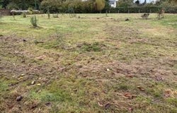 Angrie, Pays de la Loire 49440