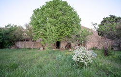 LAURE MINERVOIS, Occitanie 11800