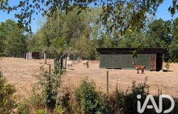 Saint-Dizier-les-Domaines, Limousin 23270