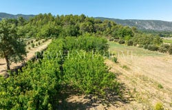 Oppède, Provence-Alpes-Côte d'Azur 84580