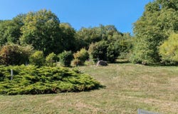 Saint-Martin-d'Ablois, Champagne-Ardennes 51530