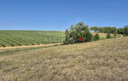 Lavaur, Tarn 81500