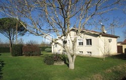Graulhet, Midi-Pyrénées 81300