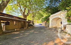 Oletta, Corsica 20232