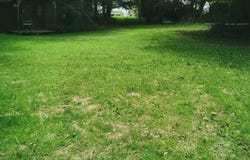 Le Faouët, Morbihan 56320