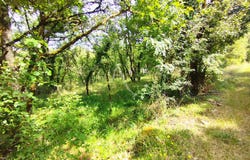 CRAYSSAC, Occitanie 46150