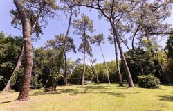 Labenne, Aquitaine 40530