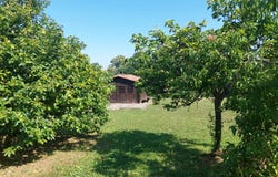 Bax, Haute-Garonne 31310