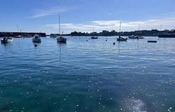 Roscoff, Bretagne 29680