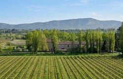 Puichéric, Languedoc-Roussillon 11700