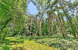 Plestin-Les-Greves, Bretagne 22310