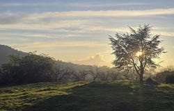 Saint Michel De Chabrillanoux, Auvergne-Rhône-Alpes 07360
