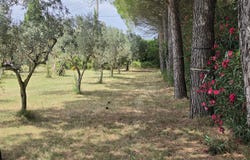 VAUVERT, Occitanie 30600