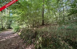 Molac, Bretagne 56230