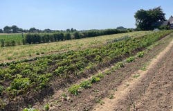 Charchigne, Pays de la Loire 53250