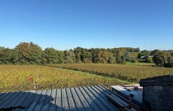 Tauriac, Aquitaine 33710