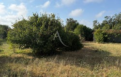 LAGORD, Nouvelle-Aquitaine 17140