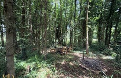 Plouhinec, Brittany 29780
