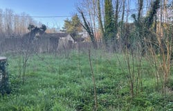 Saint-Selve, Gironde 33650